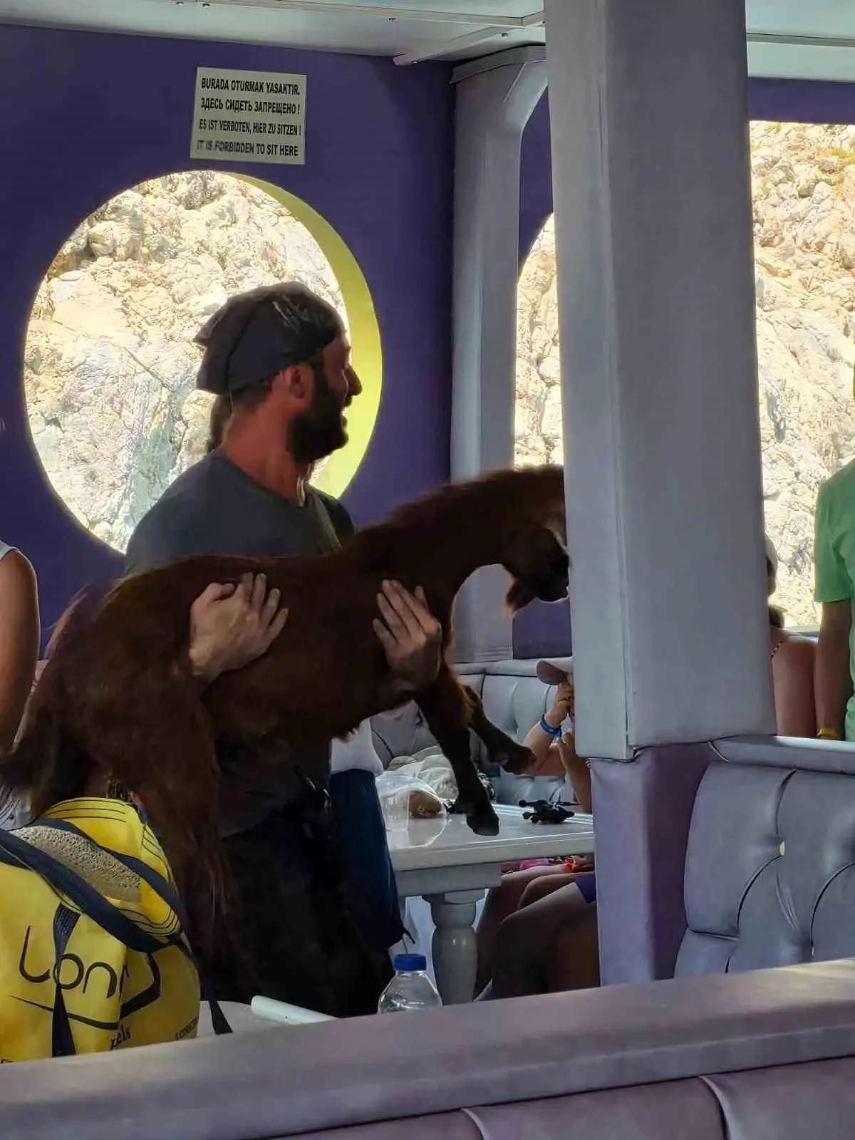 Alanya\'da Dağ Keçisi Kurtarıldı