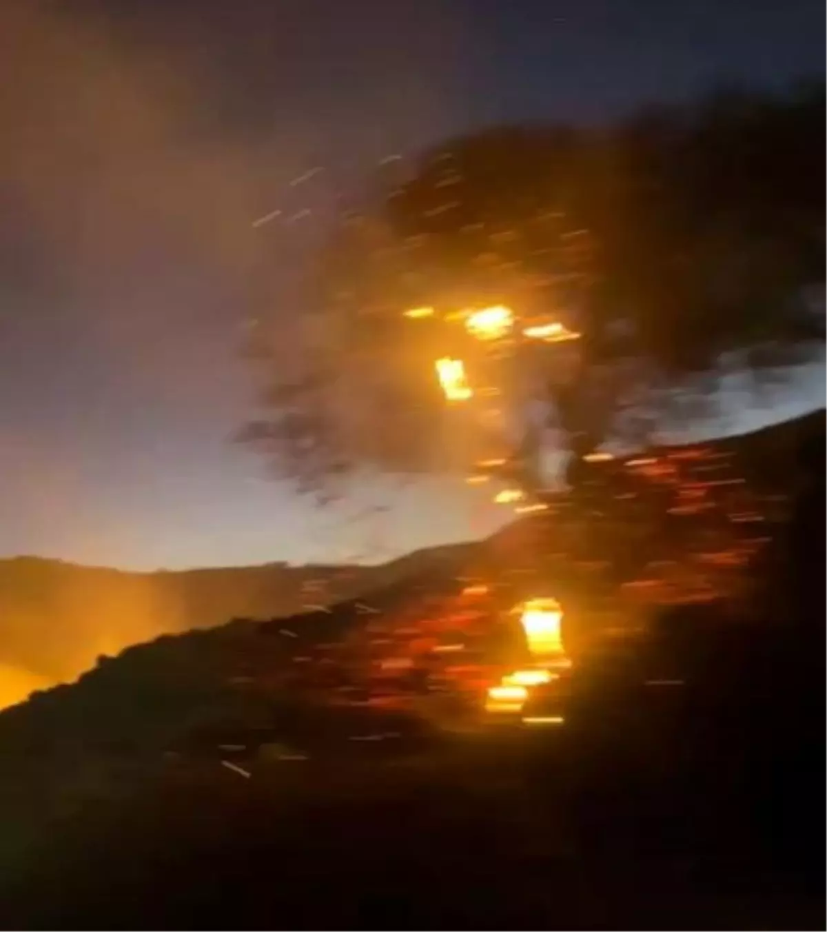 Adıyaman\'da Anız Yangını Bahçelere Sıçradı