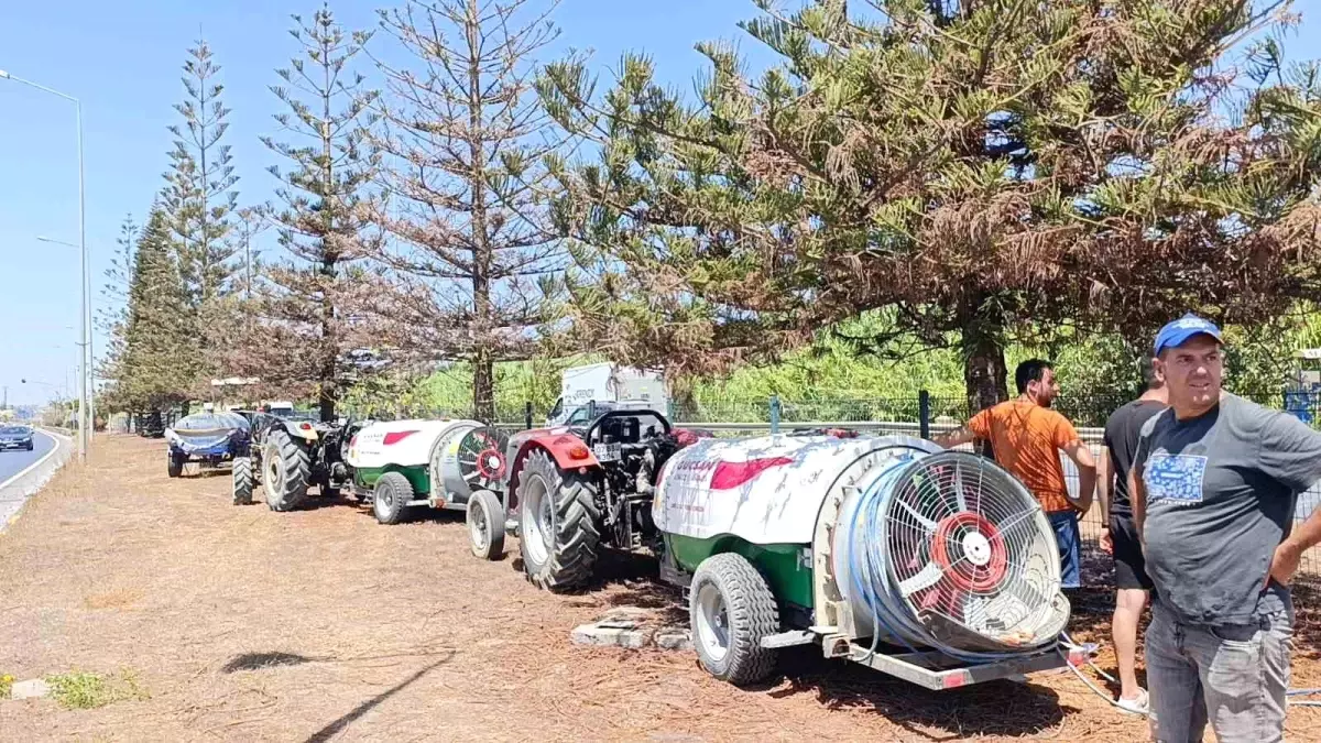 Manavgat\'ta Ağaçlar İçin Vatandaş İnisiyatifi