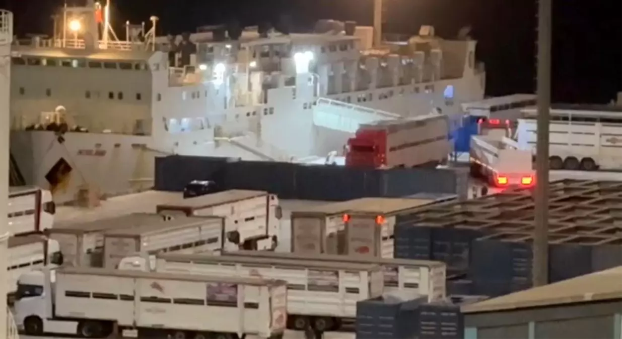 Bandırma\'da \'Yüzen Ahır\' Tepkisi: Halk Sağlığı Tehlikede
