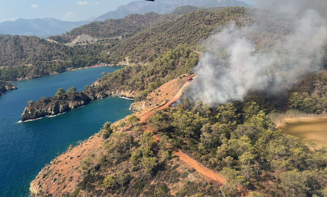 5 ilde orman yangını, alevler yerleşim yerlerine kadar ulaştı