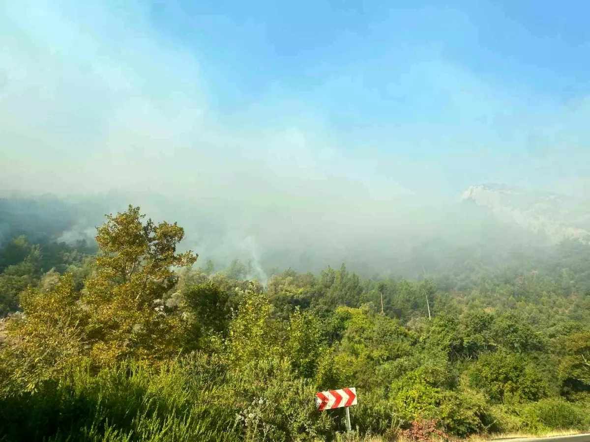 Anamur\'da Orman Yangını Devam Ediyor