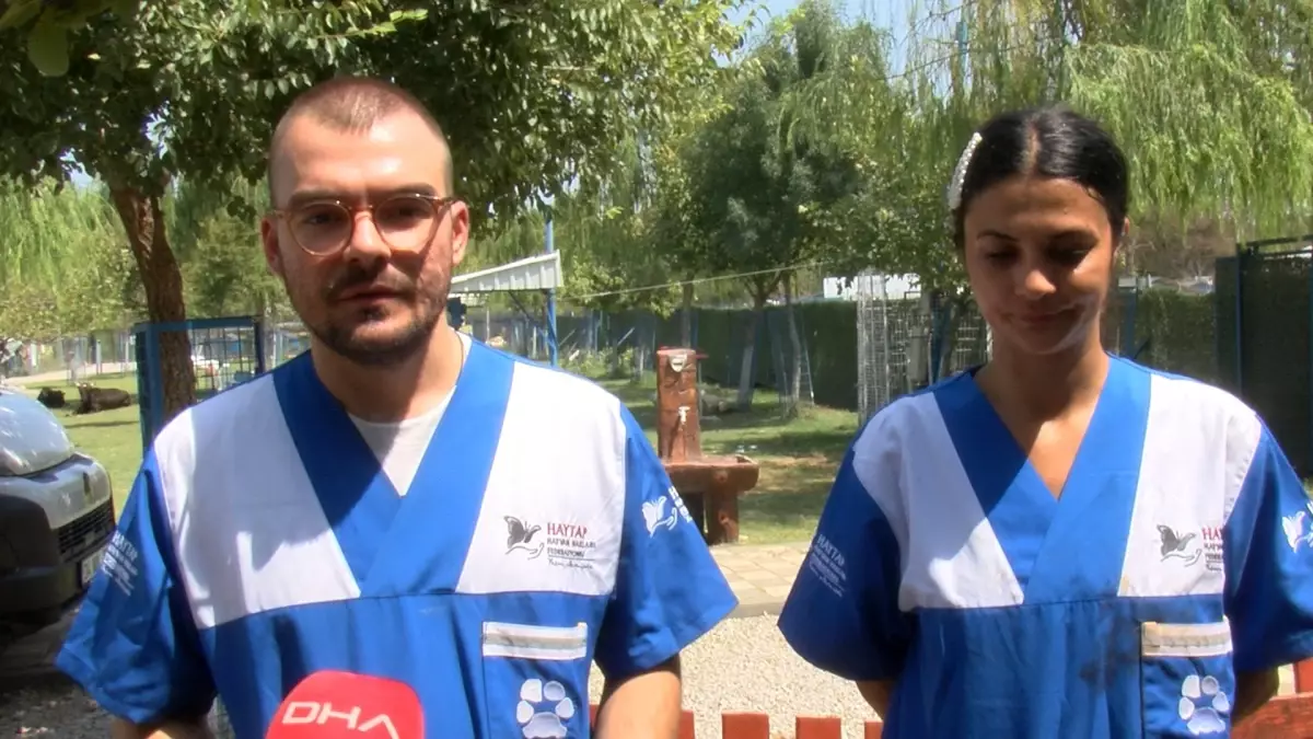 Yangın Mağduru Hayvanlar Kurtarıldı