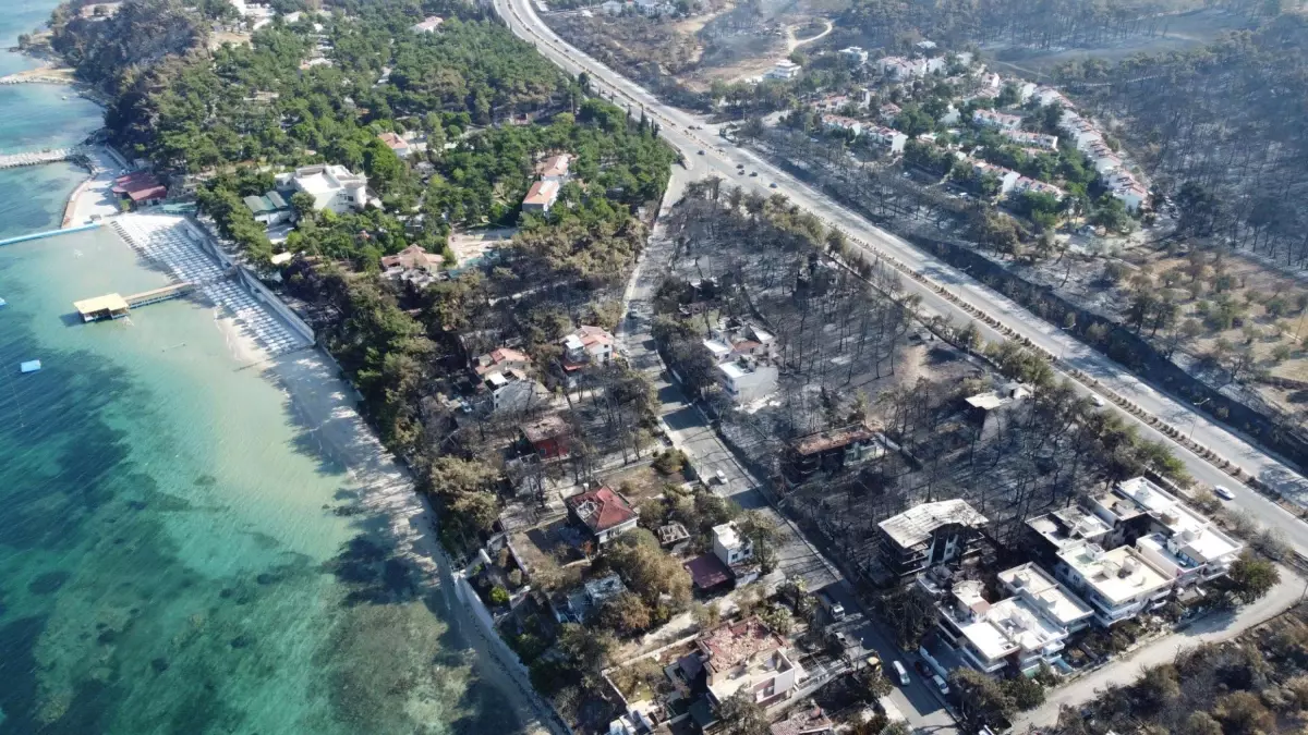 Orman Yangınları Yaban Hayatı Tehdit Ediyor