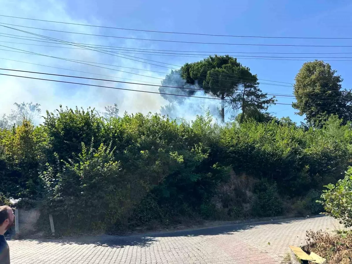 Zonguldak\'ta Orman Yangını Kısa Sürede Söndürüldü