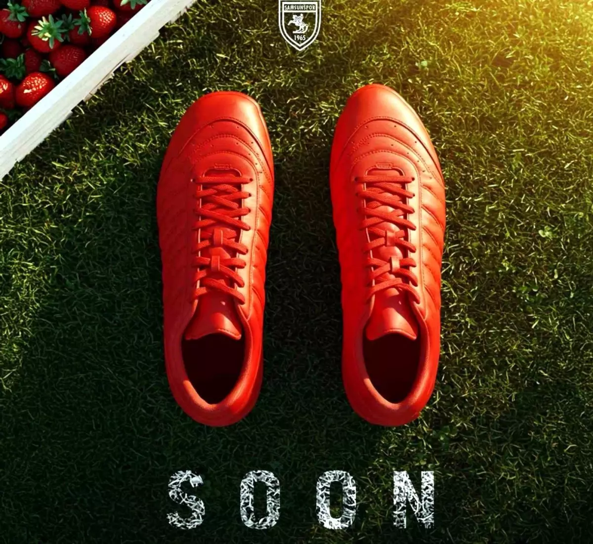 Samsunspor, Kaleci Posiadala ile Anlaştı
