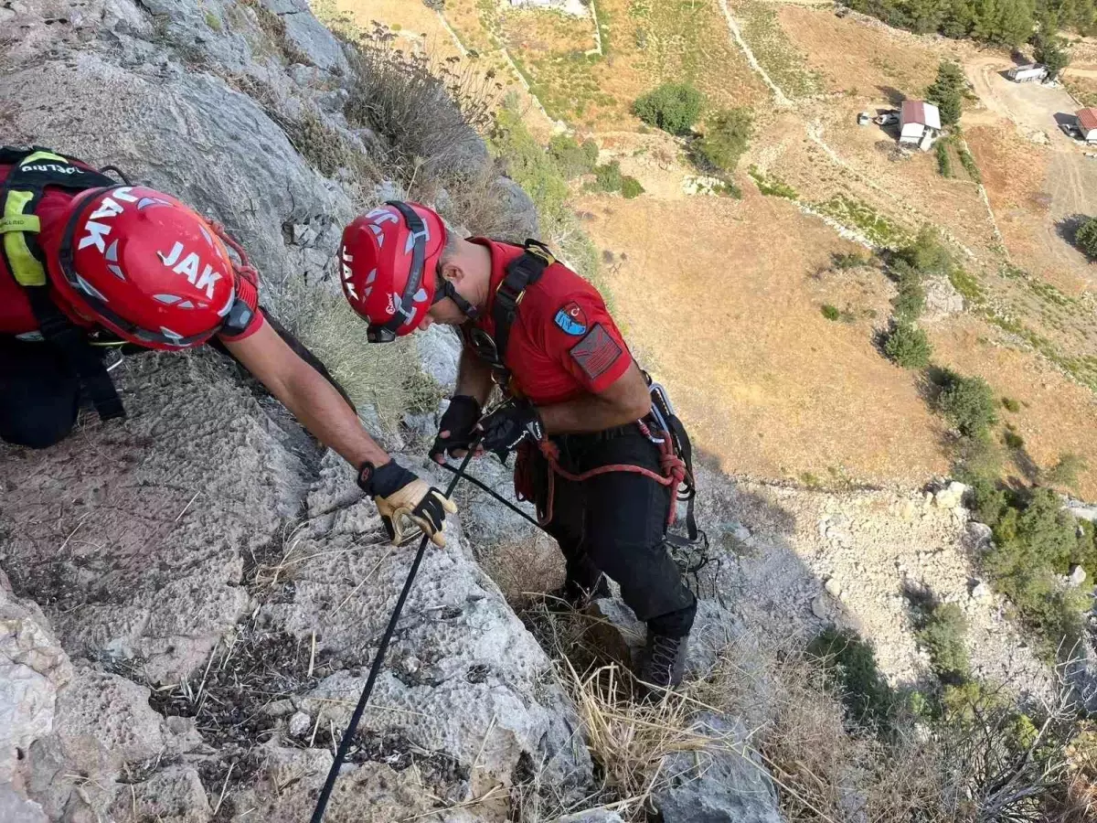 Sarp Arazide Mahsur Kalan Keçi Kurtarıldı