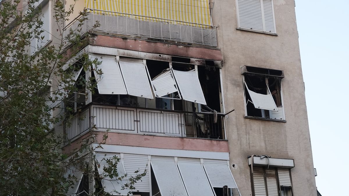 Antalya\'da Yangında 2 Köpek Kurtarıldı