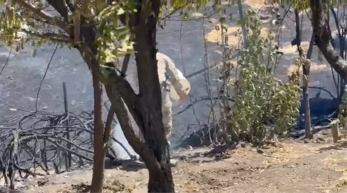Lice\'de Yangın Sonrası Hasar Tespiti Başladı