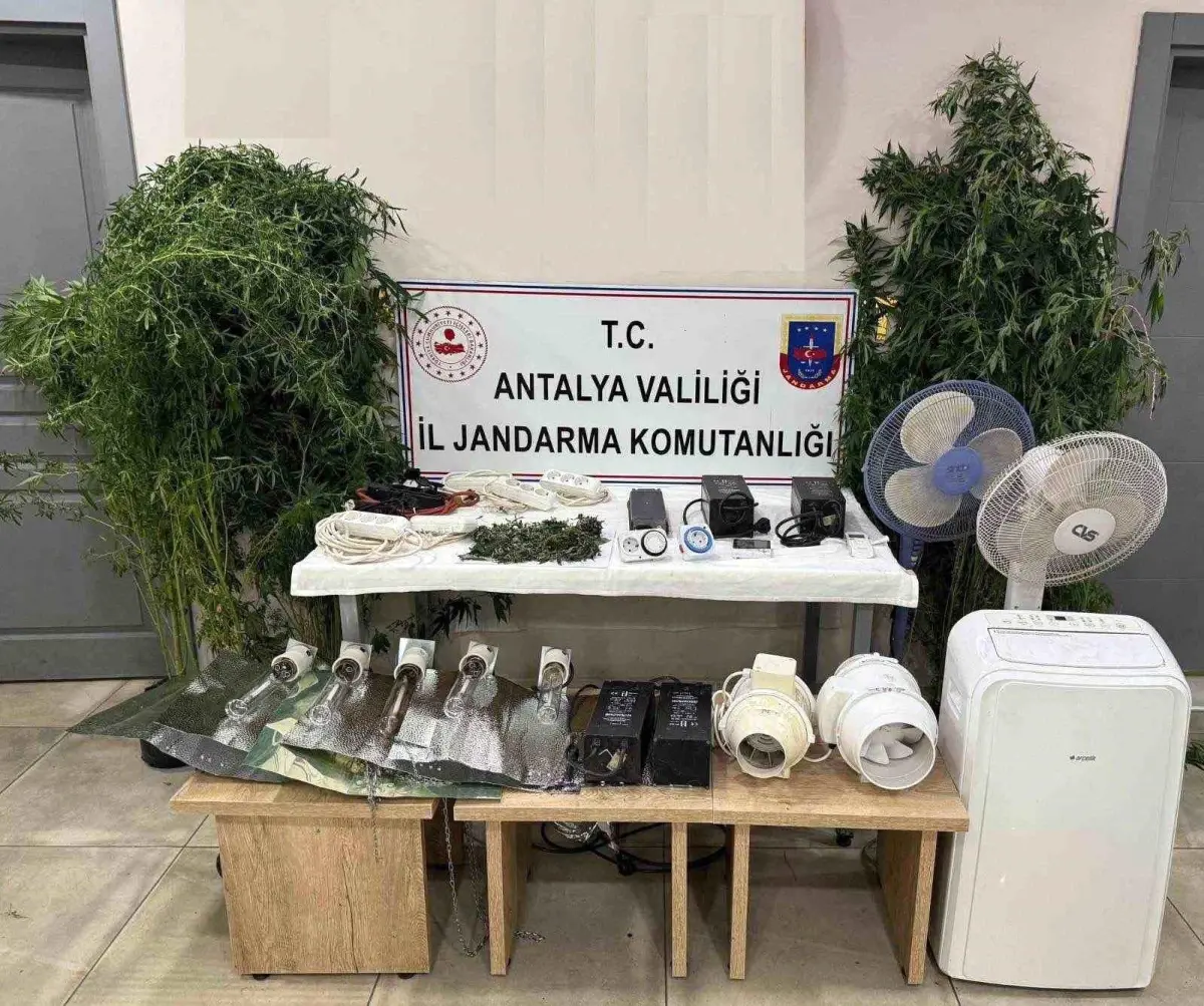 Manavgat\'ta Kenevir Operasyonu