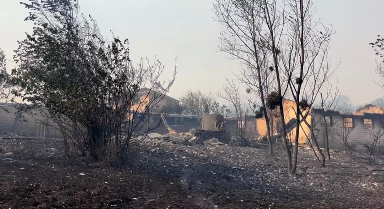 Karamürsel Orman Yangını Kontrol Altında