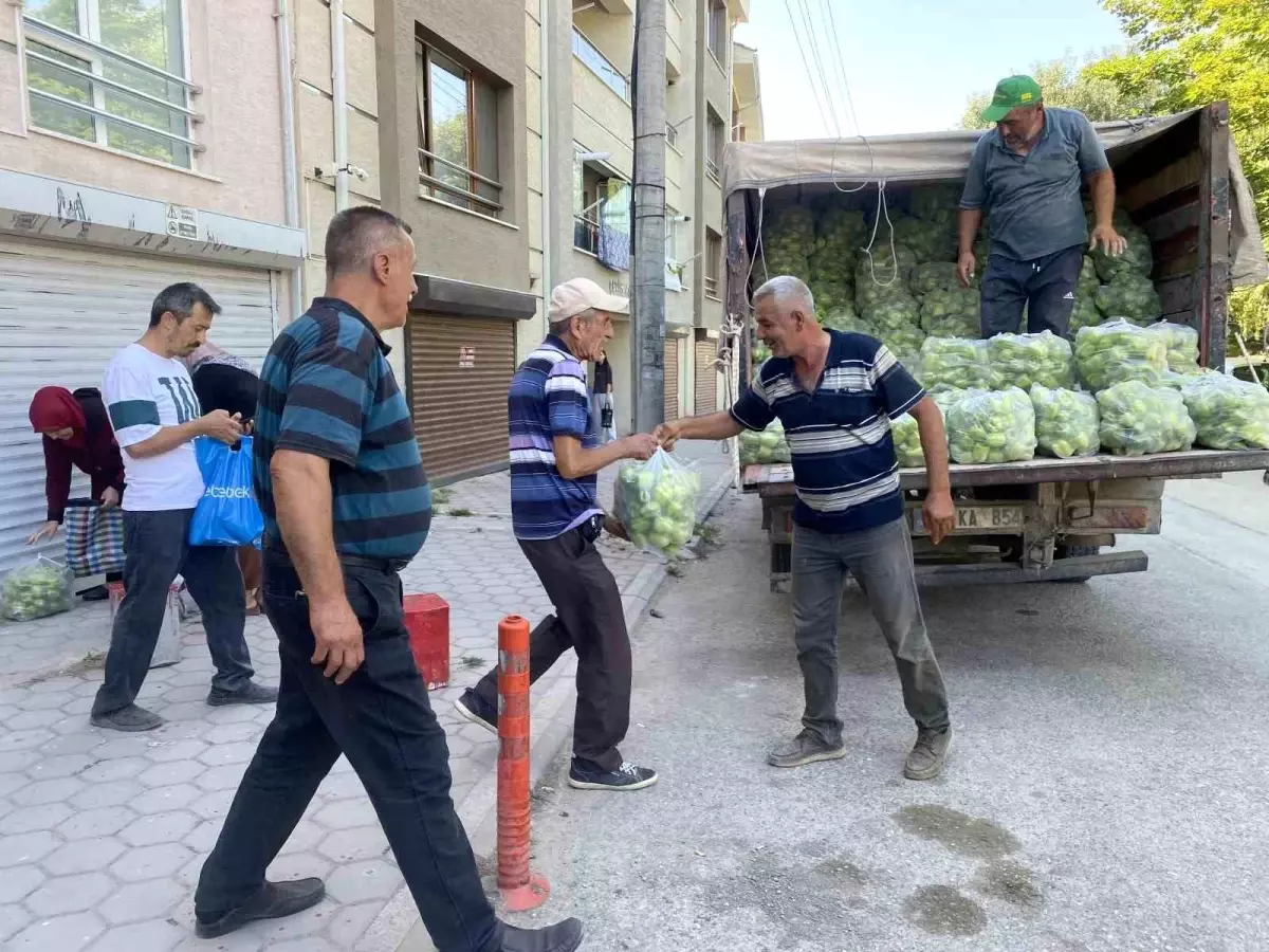 Üreticiden Ücretsiz Dolma Biber Dağıtımı