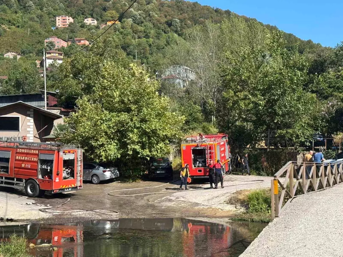 Zonguldak\'ta Orman Yangını Kontrol Altına Alındı
