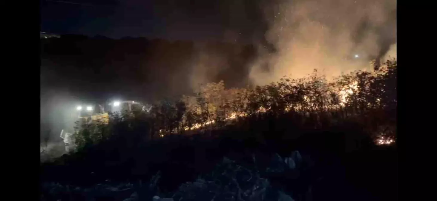 Balıkesir\'de Şehir Çöplüğünde Yangın