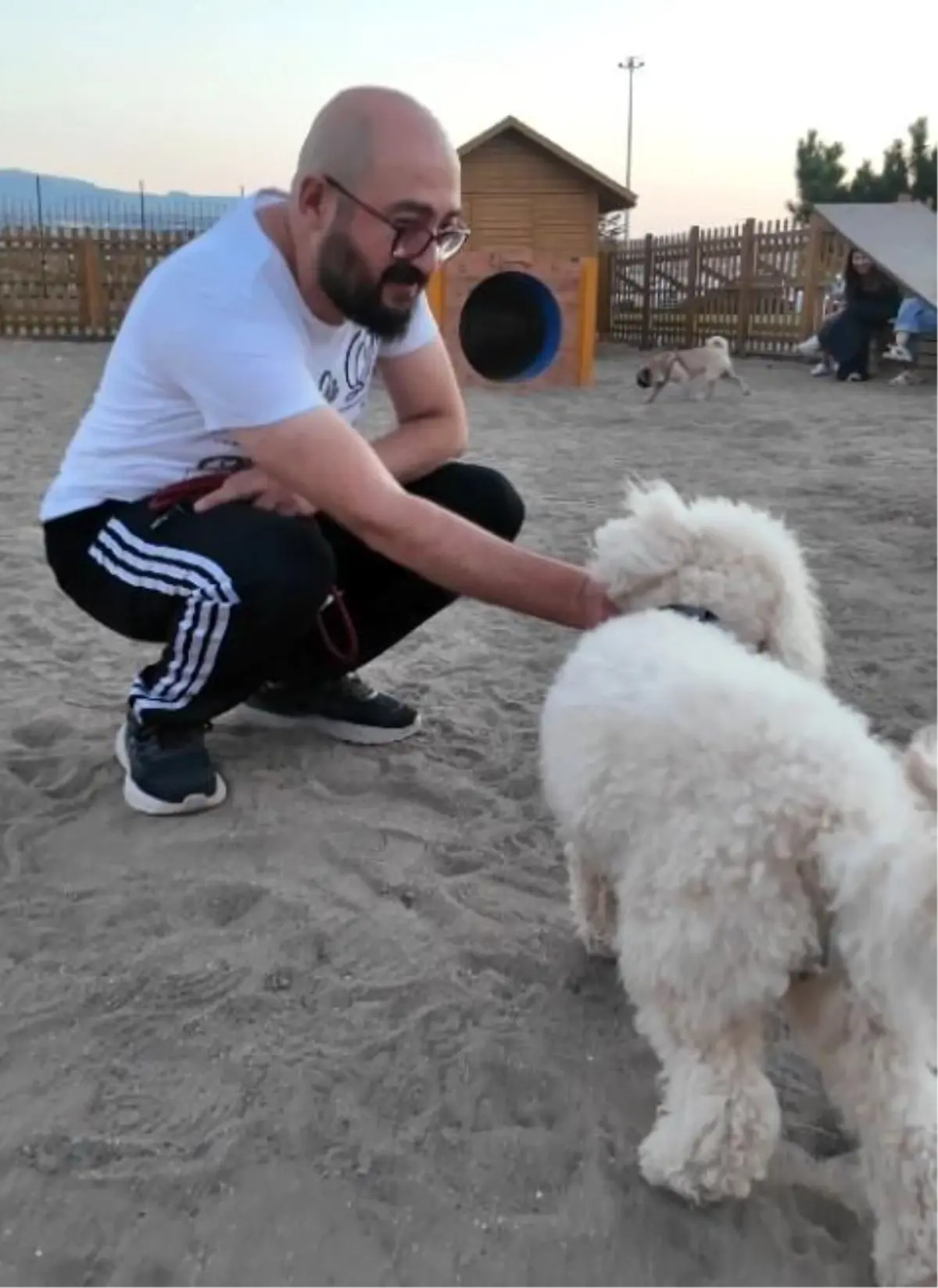 Kayseri\'de Köpek Eğitim Parkuru\'na Yoğun İlgi
