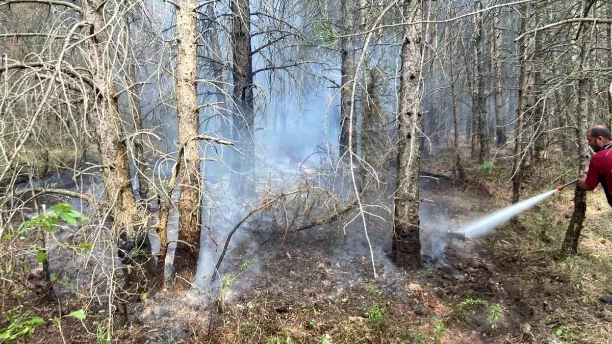 Bolu\'daki Orman Yangını Kontrol Altında