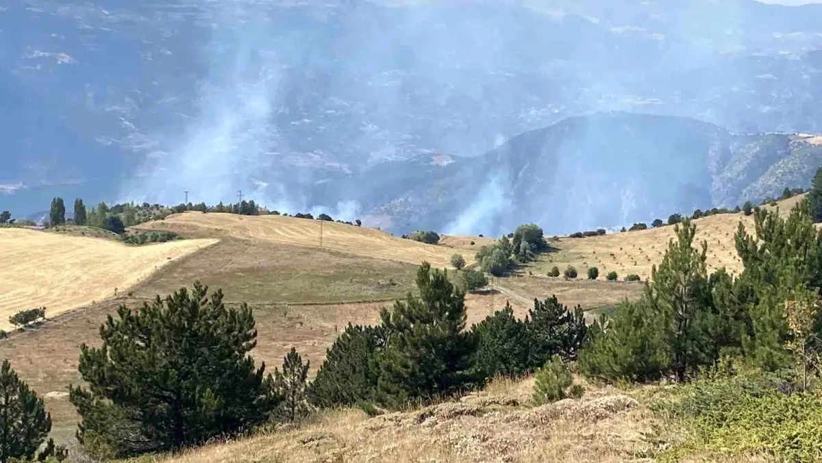 Çorum\'da Orman Yangını