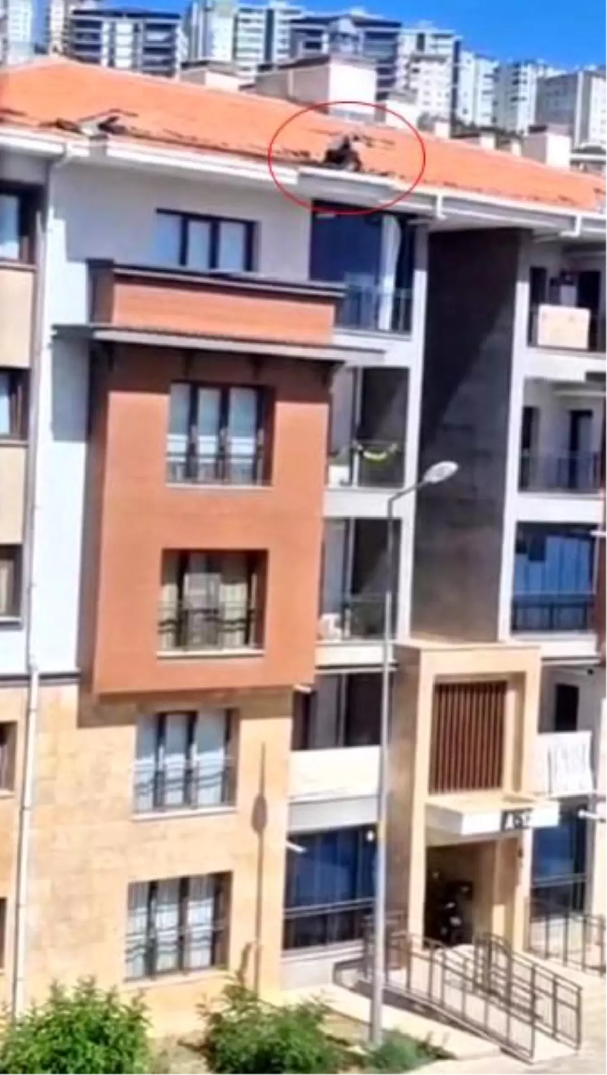 Elazığ\'da Güvenliksiz Çalışma İzdüşümü