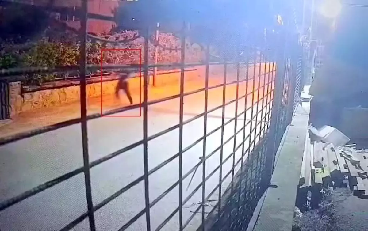 Peş peşe tetiğe basıp taksi şoförünü öldürdü