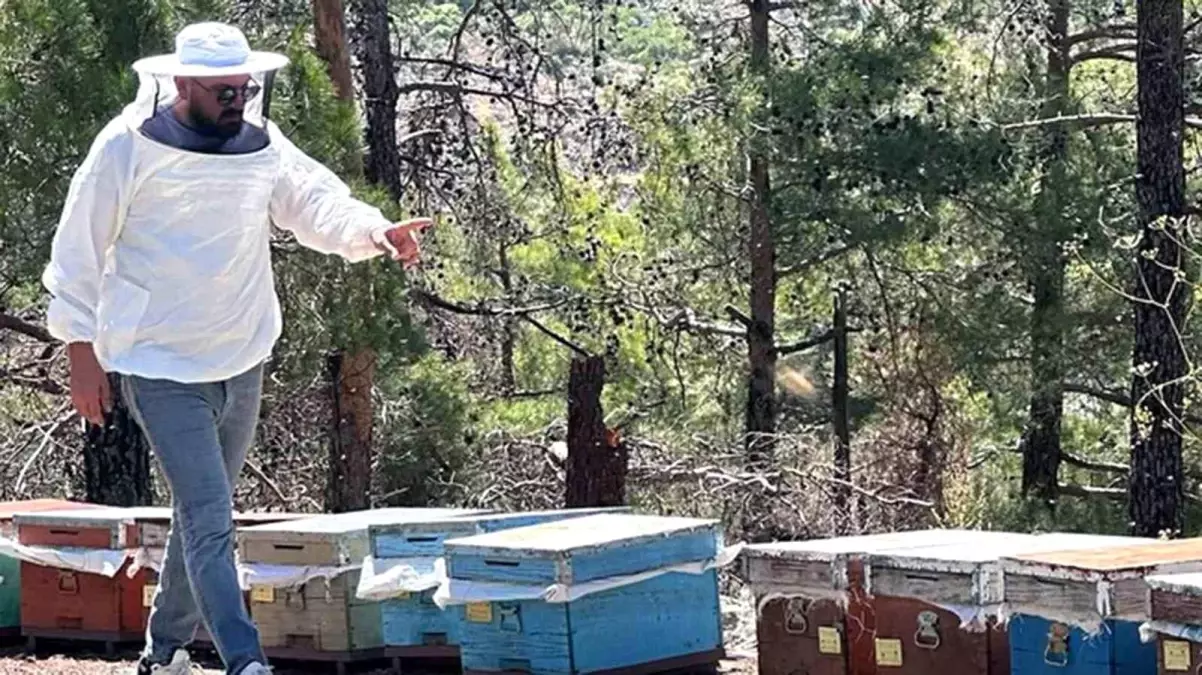 Muğla\'da Arı Kovanı Destekleme Çalışmaları Başladı