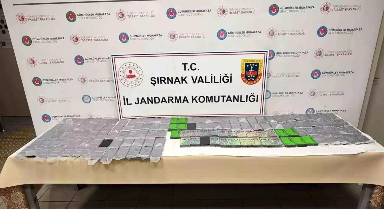 Şırnak\'ta 8 Milyon TL\'lik Kaçak Ürün Ele Geçirildi
