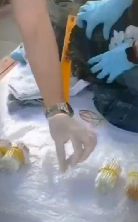 Burdur'da 60 Milyon TL Değerinde Kobra Zehri Ele Geçirildi Burdur'da 60 Milyon TL Değerinde Kobra Zehri Ele Geçirildi