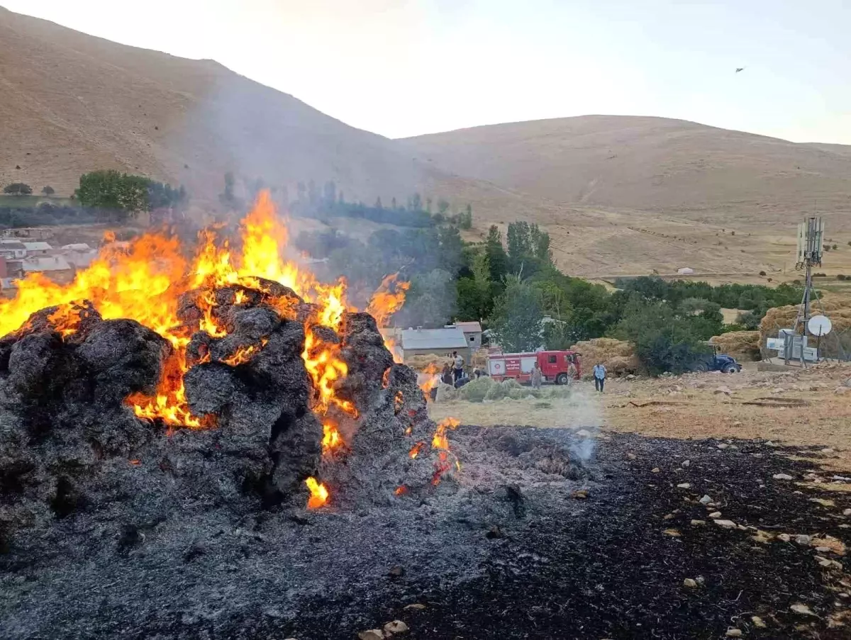 Van\'ın Gevaş İlçesinde Yangın Söndürüldü