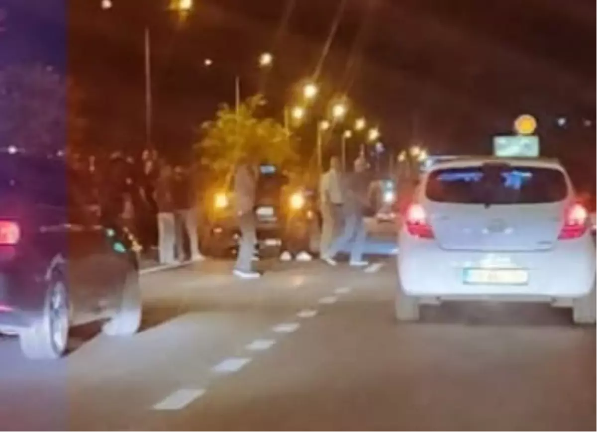 Bingöl\'de Trafik Kazası: 65 Yaşındaki Kadriye Korkulu Hayatını Kaybetti