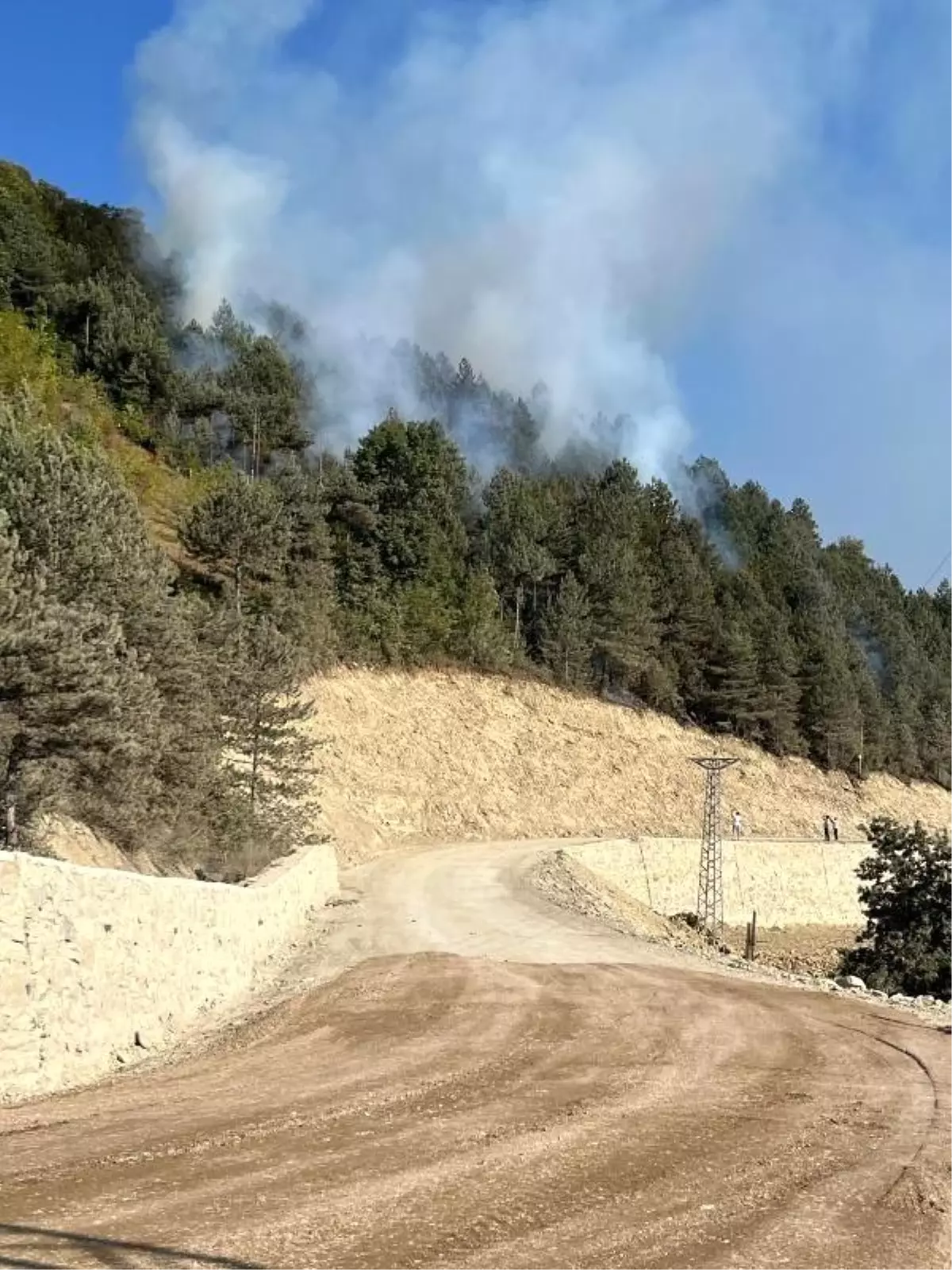 Sinop\'ta Ormanlık Alanda Yangın Çıktı