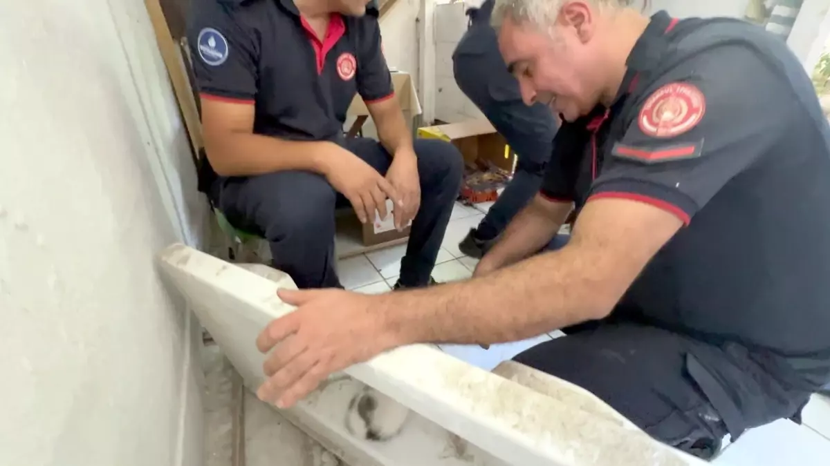 Yavru Kedi İtfaiye Tarafından Kurtarıldı