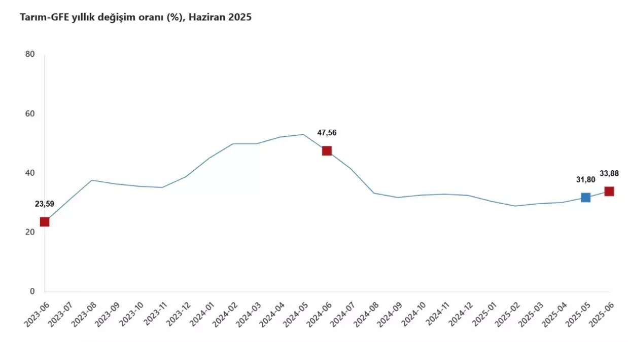 Tarımsal Girdi Fiyatları %33,88 Arttı