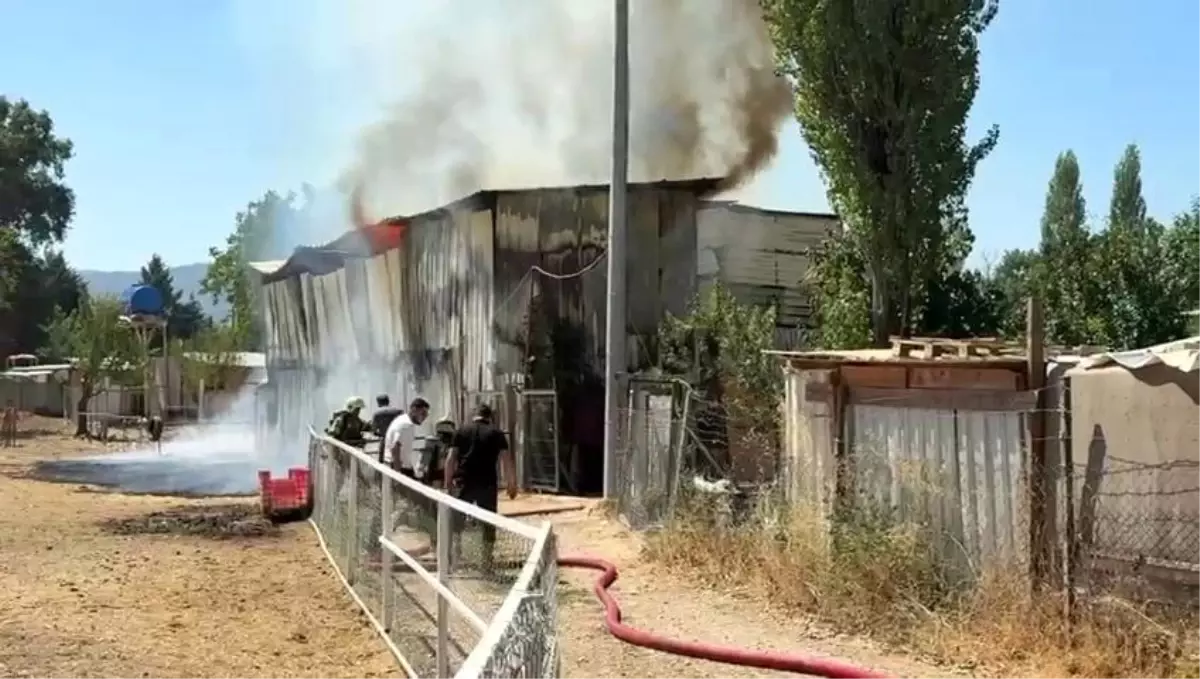 Bursa\'da Çiftlikte Yangın: 1 At ve 2 Keçi Telef Oldu