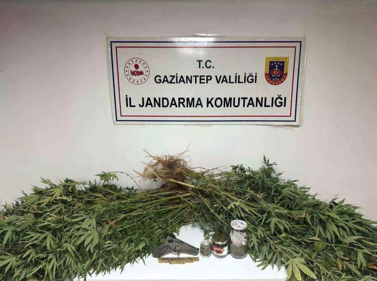Gaziantep\'te Uyuşturucu Operasyonu
