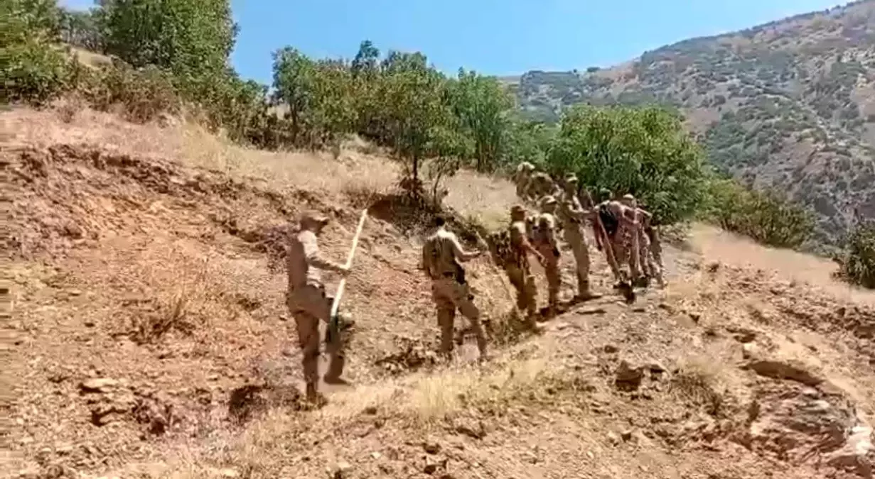 Şemdinli\'de Orman Yangınlarıyla Mücadele
