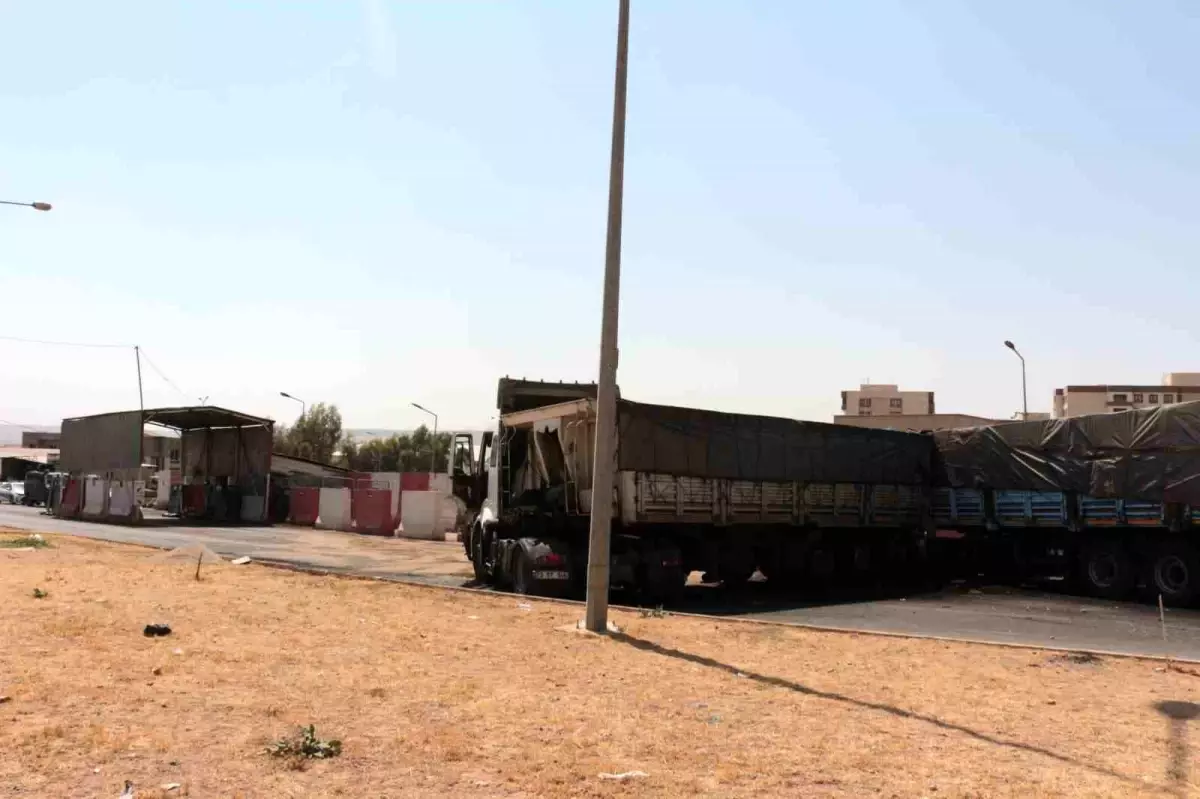 Cizre\'de Kaza: Ağabey Hayatını Kaybetti