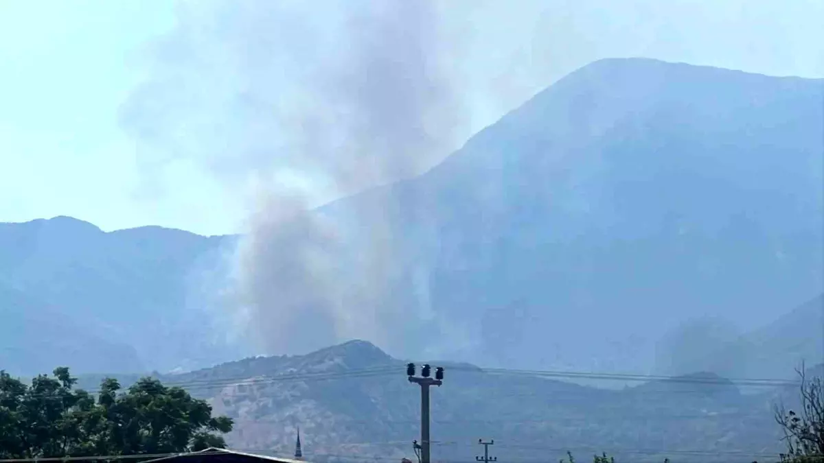 Seydikemer\'de Yangın Kontrol Altına Alınmaya Çalışılıyor