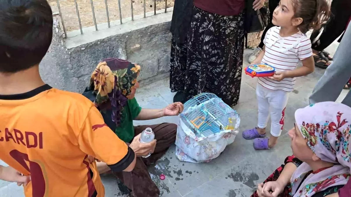 Yangından Muhabbet Kuşunu Kurtardı