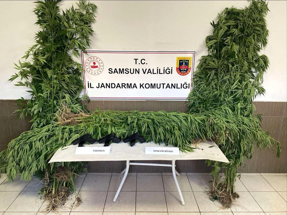 Samsun\'da Silah ve Uyuşturucu Operasyonları