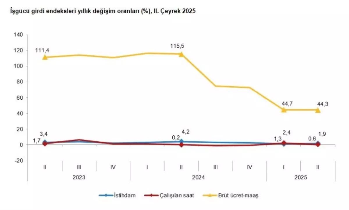 TÜİK 2025 2. Çeyrek İş Gücü İstatistiklerini Açıkladı