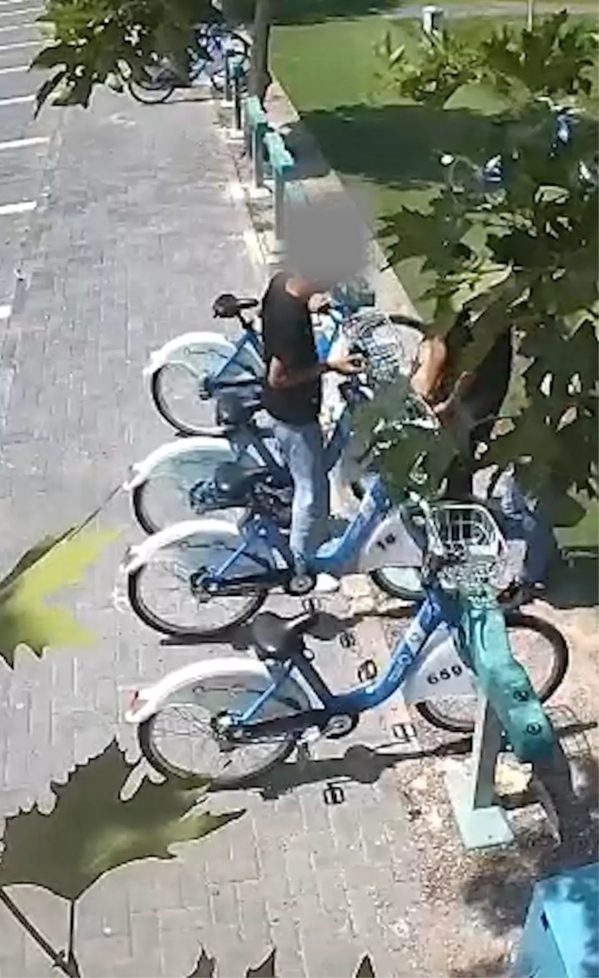 KAYBİS Projesine Vandalizm Darbesi: Kamu Malına Sahip Çıkalım