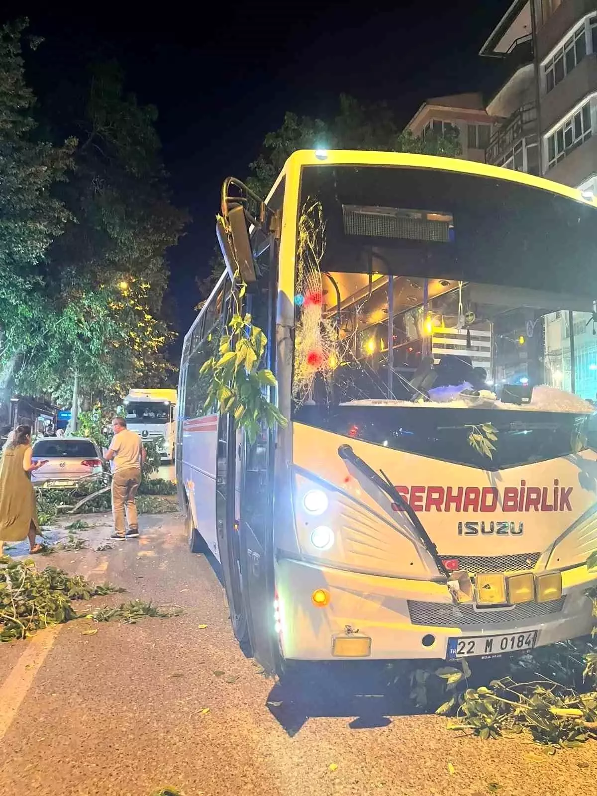 Edirne\'de Devrilen Ağaç Kazası