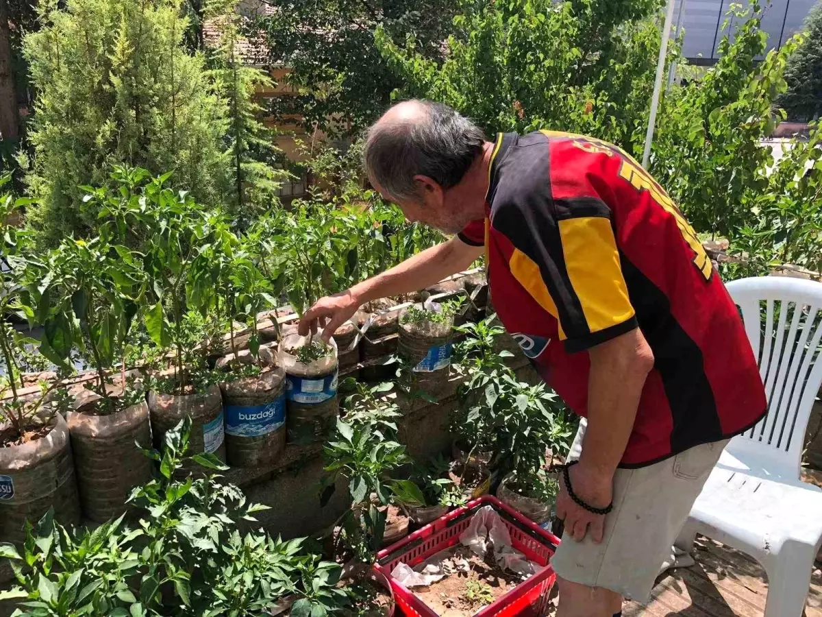 Salim Pektaş\'tan Organik Tarım