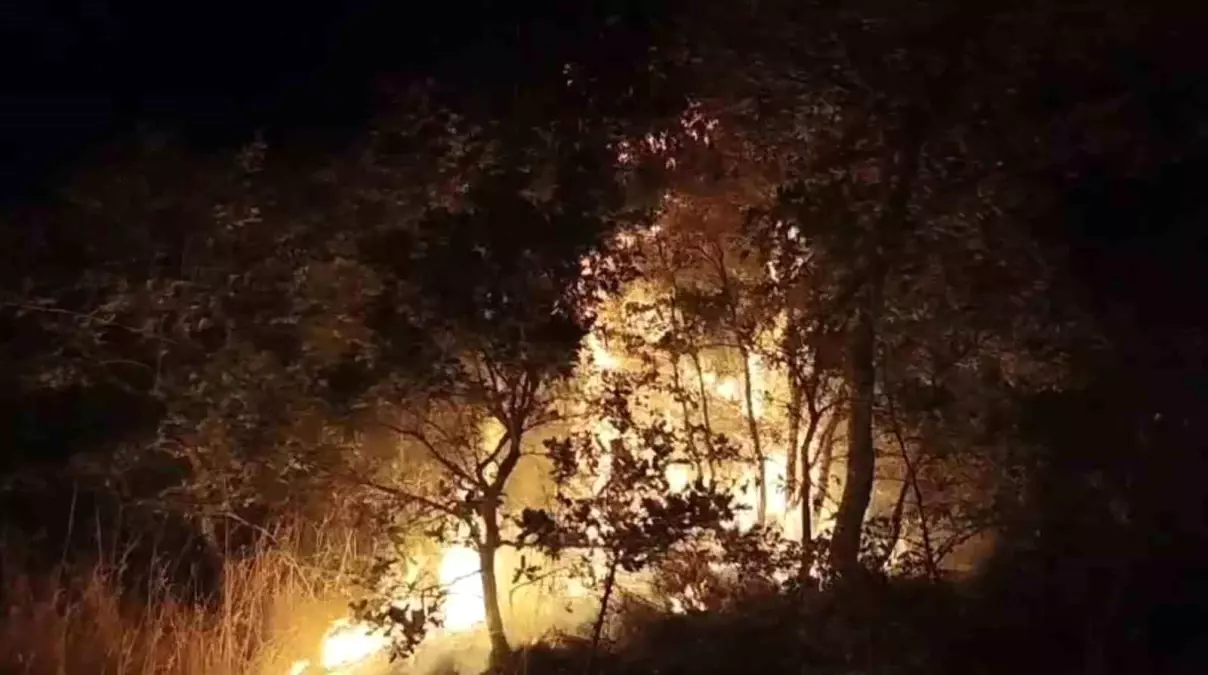 Balıkesir\'de Çöp Yangını Araziye Sıçradı