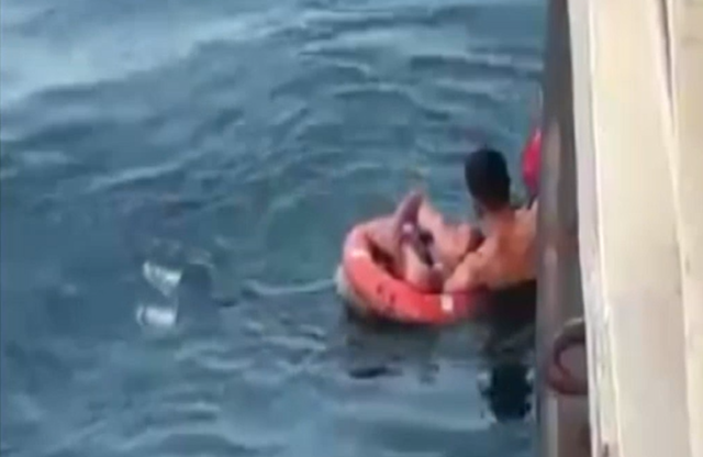 Feribotta can pazarı! Genç kadın atladı, yolcu kurtardı Feribotta can pazarı! Genç kadın atladı, yolcu kurtardı