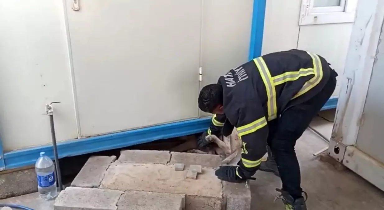 Hatay\'da Konteyner Altında Mahsur Kalan Köpek Kurtarıldı