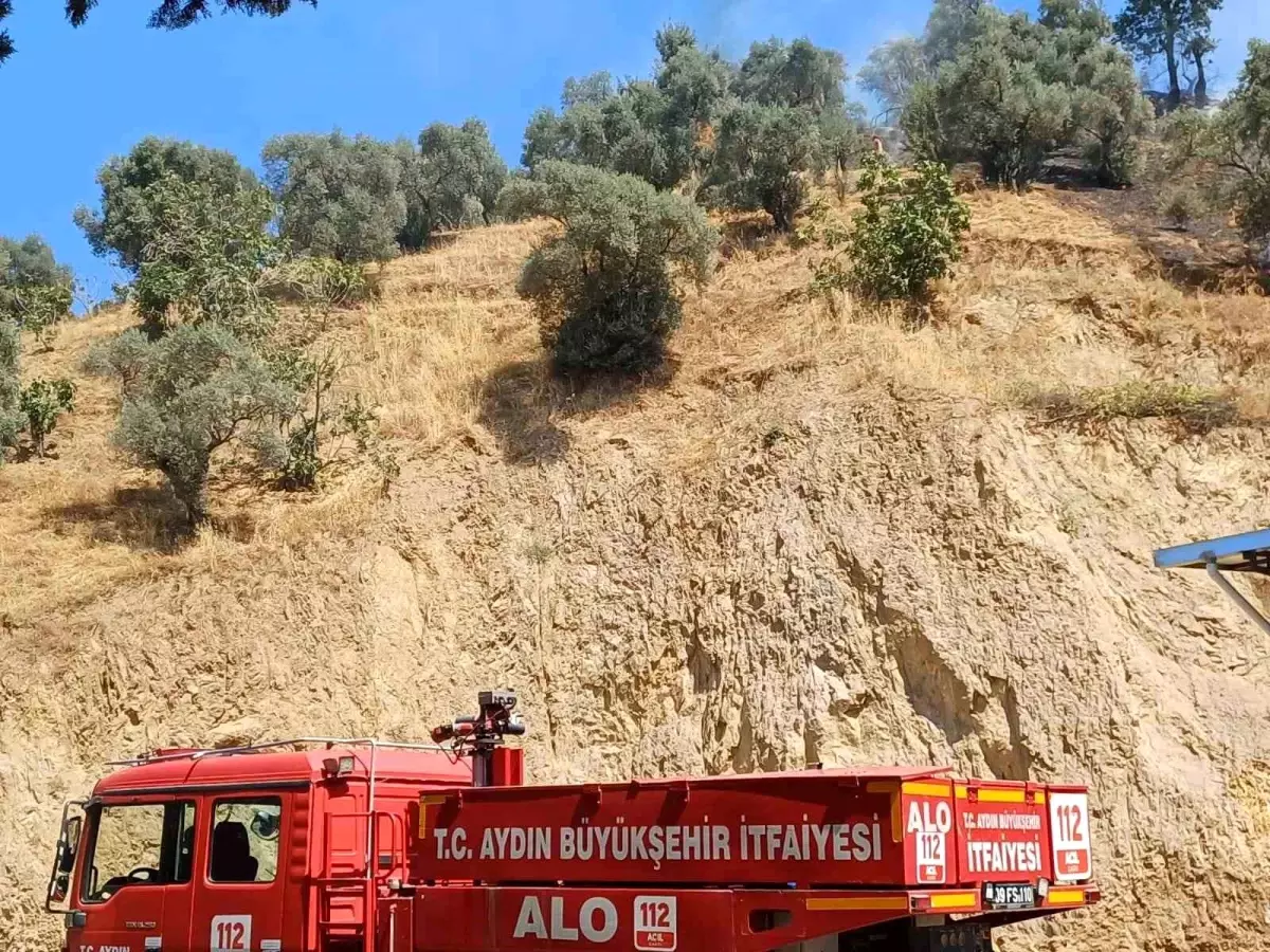 Aydın\'da Zirai Alanda Yangın Kontrol Altına Alındı