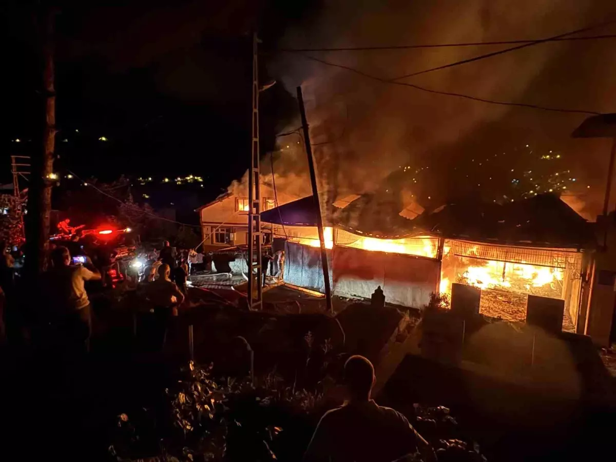 Zonguldak\'ta Halı Yıkama Dükkanında Çıkan Yangında 4 Ev Zarar Gördü