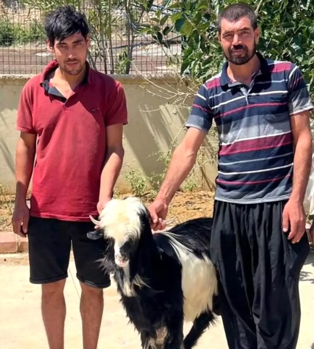 Kozan\'da Keçi Hırsızları Yakalandı