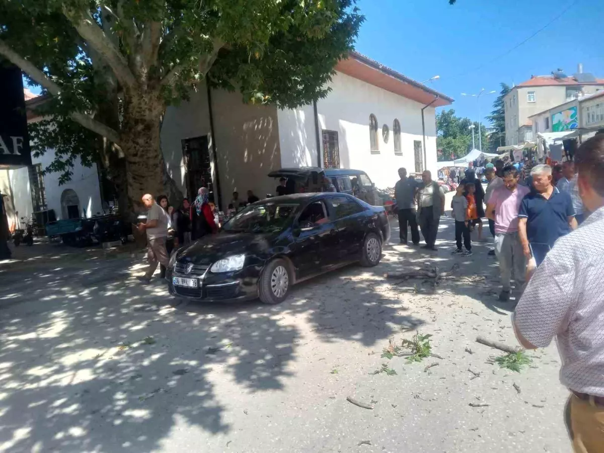 Çınar Ağacı Dalı Otomobilin Üzerine Düştü