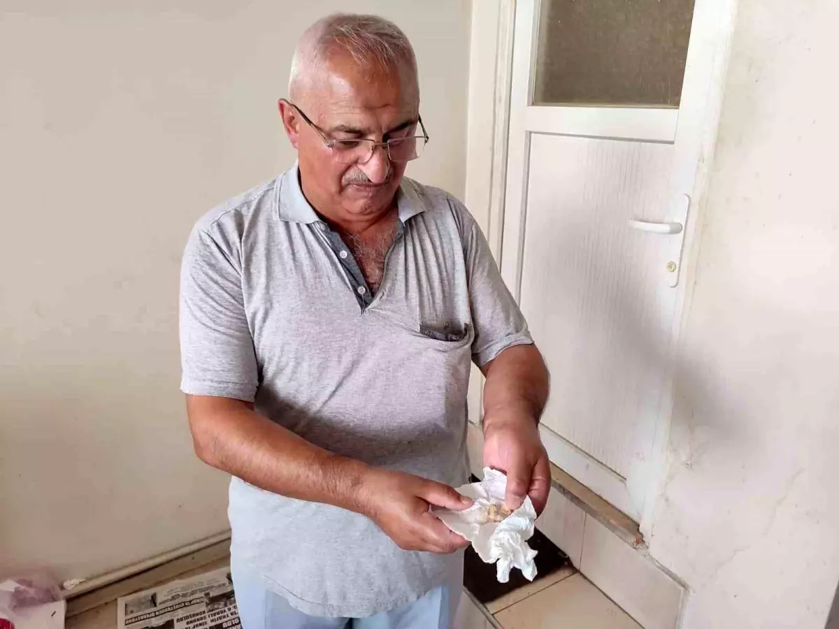 Ekmekten öyle bir şey çıktı ki! Neredeyse dişini kaybedecekti